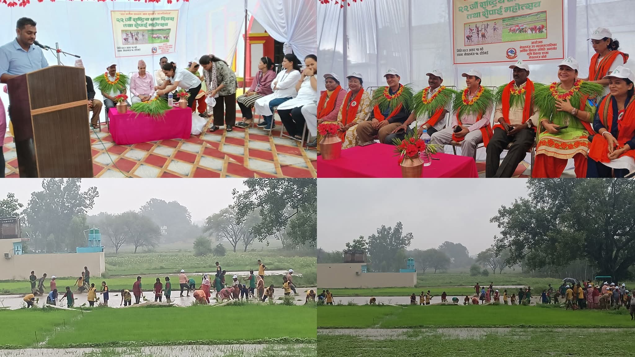 नेपालगन्जको ढोडेगाउँमा मनाइयो राष्ट्रिय धान दिवस