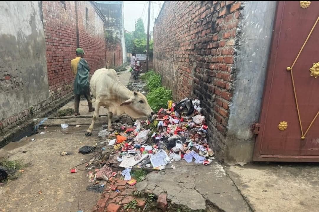 सडकमा फोहोर फालेपछि नेपालगञ्ज उपमहानगरद्वारा जरिवाना