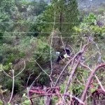 भारतको उत्तराकाशीमा तीर्थयात्री बोकेको बस दुर्घटना हुँदा २५ जनाको मृत्यु