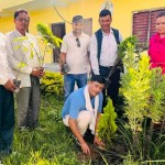 वीपी स्मृति दिवसमा कांग्रेसले गर्यो शम्शेरगन्जमा वृक्षारोपण