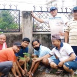 वडा कार्यालय र ब्याडमिन्टन कोर्ट परिसरमा वृक्षारोपण