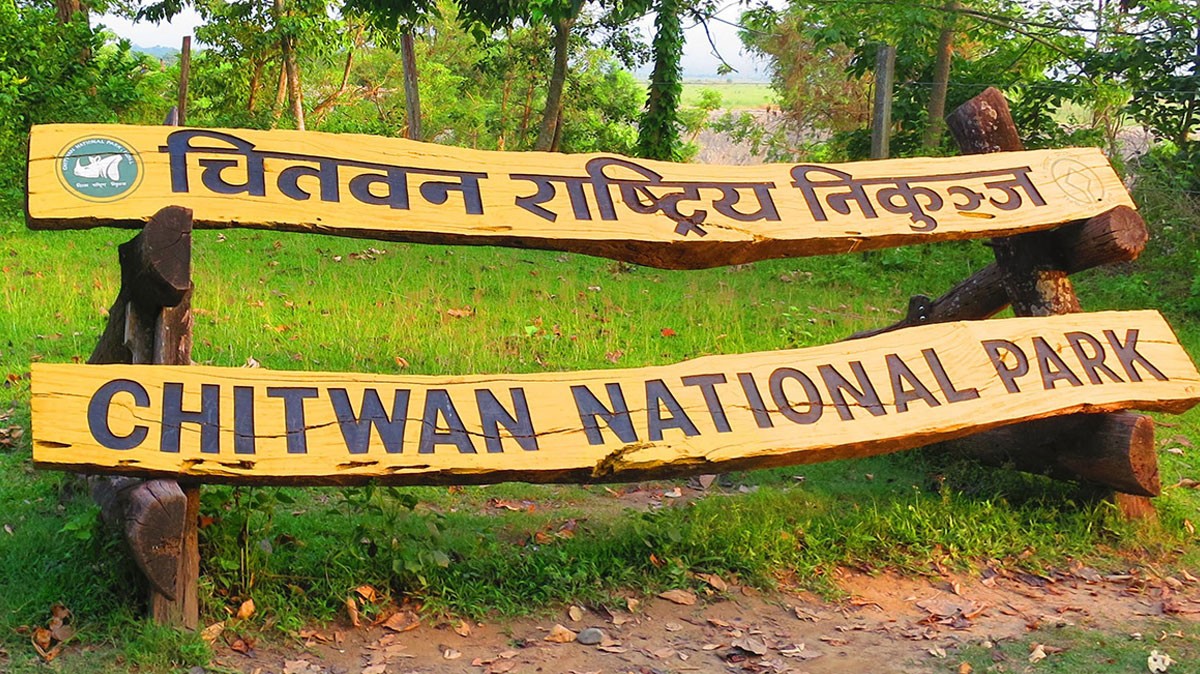 चितवन राष्ट्रिय निकुन्जले भत्काइदियो चेपाङवस्ती