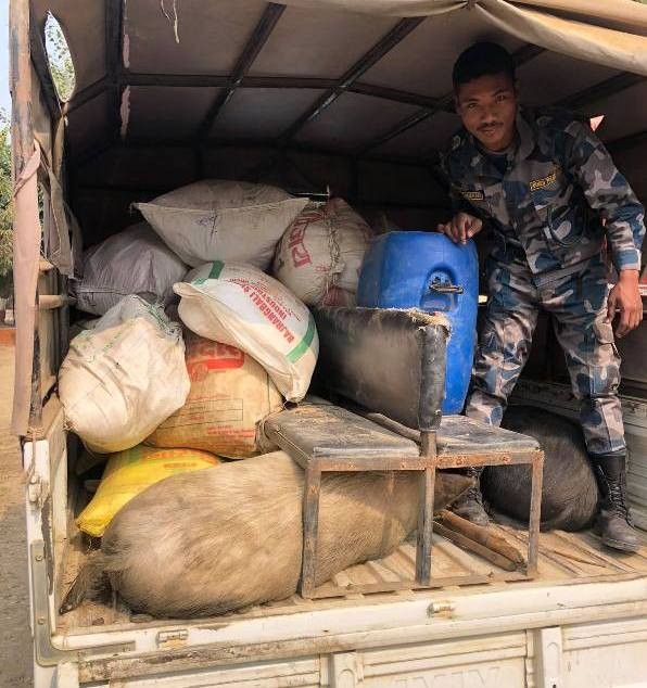 बर्दियामा सशस्त्र प्रहरीद्वारा लाखौं मूल्यका अवैध सामान बरामद