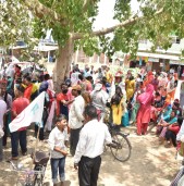 खजुराको १ र २ पनि गठबन्धनको बलियो पकड 