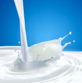 आज विश्व दूध दिवस मनाइँदै, प्रति व्यक्ति प्रति वर्ष १३ लिटर दूध अभाव