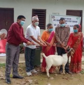 कृषि अनुसन्धान निर्देशनालय खजुराद्वारा बोर बोका हस्तान्तरण