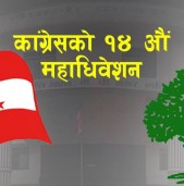 आठ जिल्लामा देउबा र पौडलेका ४/४ जिल्ला सभापति