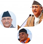 मोटाउँदै नेता, दुब्लाउँदै दल