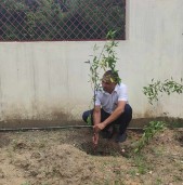कोहलपुरमा वृक्षारोपण अभियान
