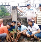 वडा कार्यालय र ब्याडमिन्टन कोर्ट परिसरमा वृक्षारोपण