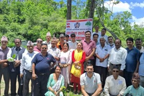 वीपी स्मृति दिवसमा ज्यामिरे दह परिसरमा वृक्षारोपण