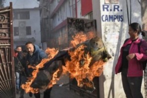 अनेरास्ववियूले जलायो शिक्षामन्त्री शिशिर खनालको पुत्ला
