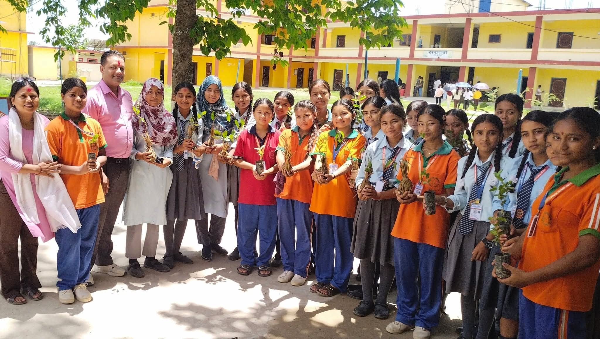 खजुरामा फलफूलका बिरुवा वितरण