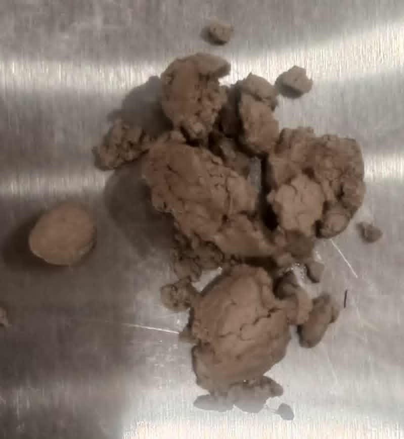 लागूऔषध ब्राउन सुगरसहित दुई जना पक्राउ