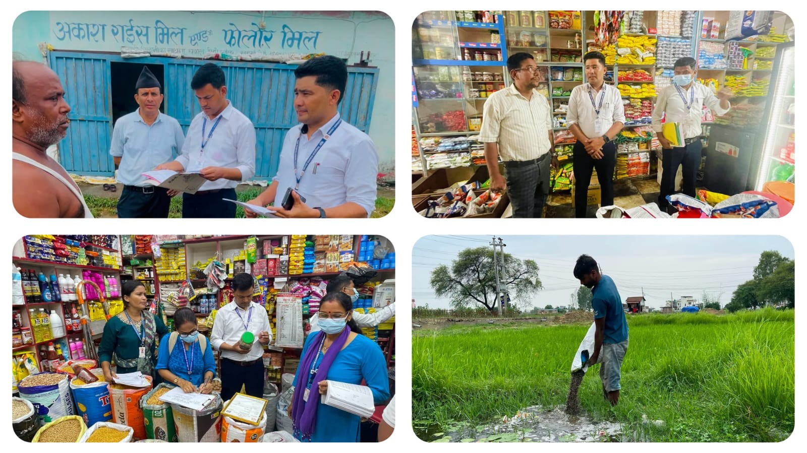रंग लगाइएको मासको दाल नष्ट, कर बीजक नराख्ने डिस्ट्रिब्युटरलाई १० हजार जरिवाना