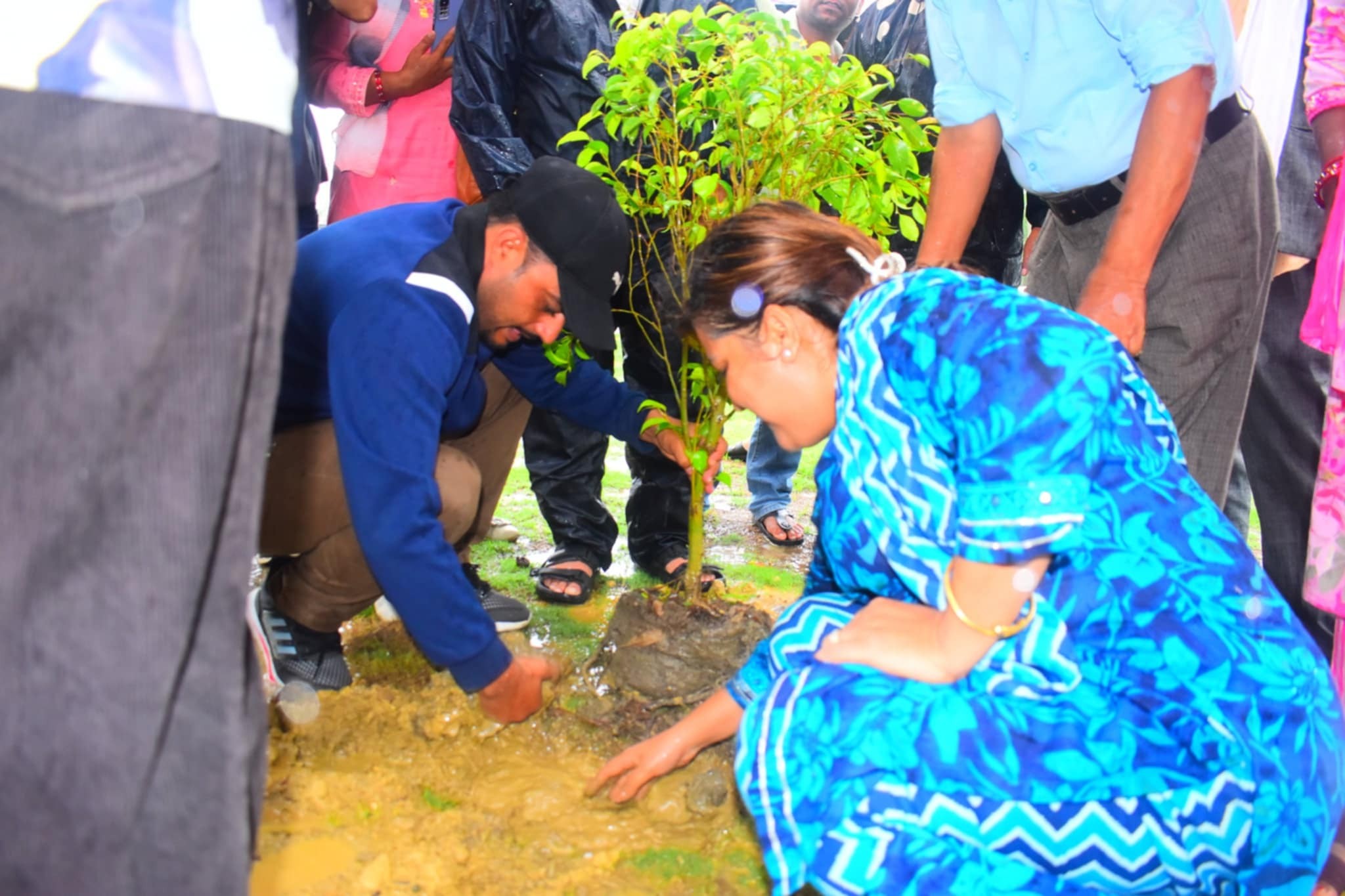 कोहलपुरमा वृक्षारोपण अभियान, यसै बर्ष १० हजार विरुवा रोप्ने लक्ष्य