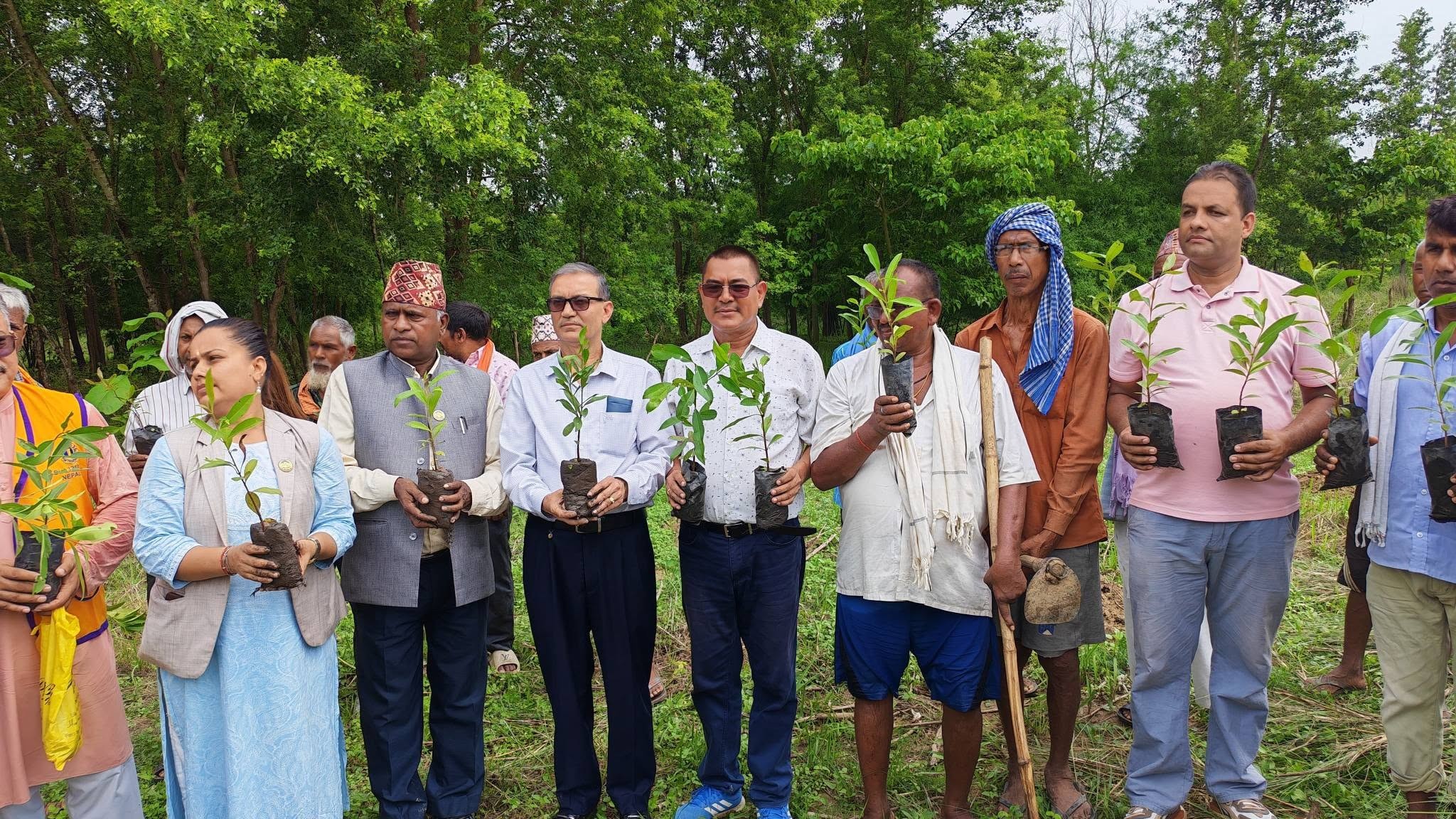 कोहलपुरमा वृहत् वृक्षारोपण अभियान सुरु, २ हजार ४ सय बिरुवा रोपिने
