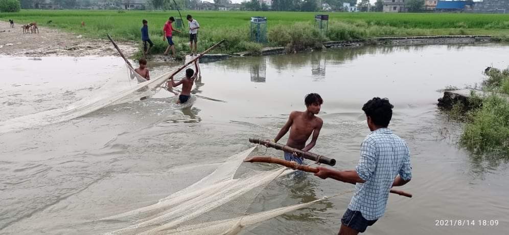 बढेको नालामा माछैमाछा