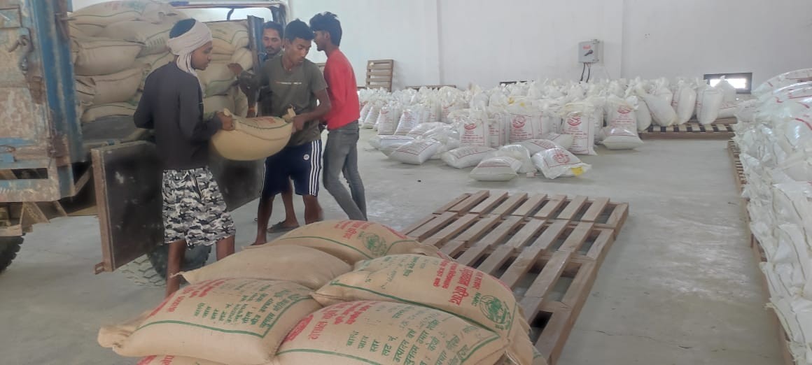 डुडुवामा किसानलाई अनुदानमा धानको बीउ वितरण गर्न सुरु