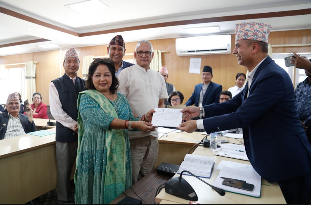 संसदीय समितिको सभापतिमा ११ जनाको उम्मेदवारी