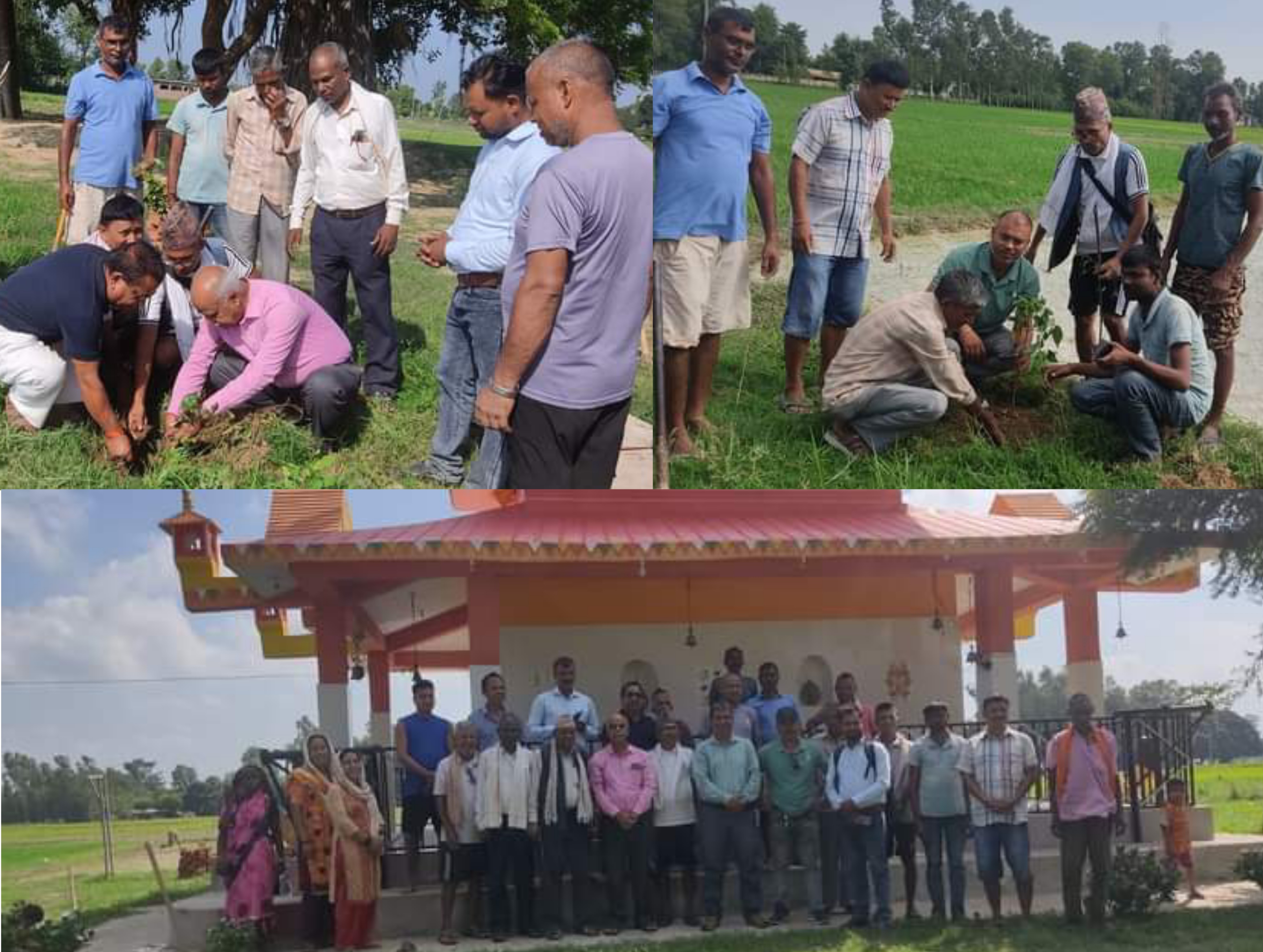 पुष्पलाल स्मृति दिवसमा एमाले जानकीले गर्यो वृक्षारोपण