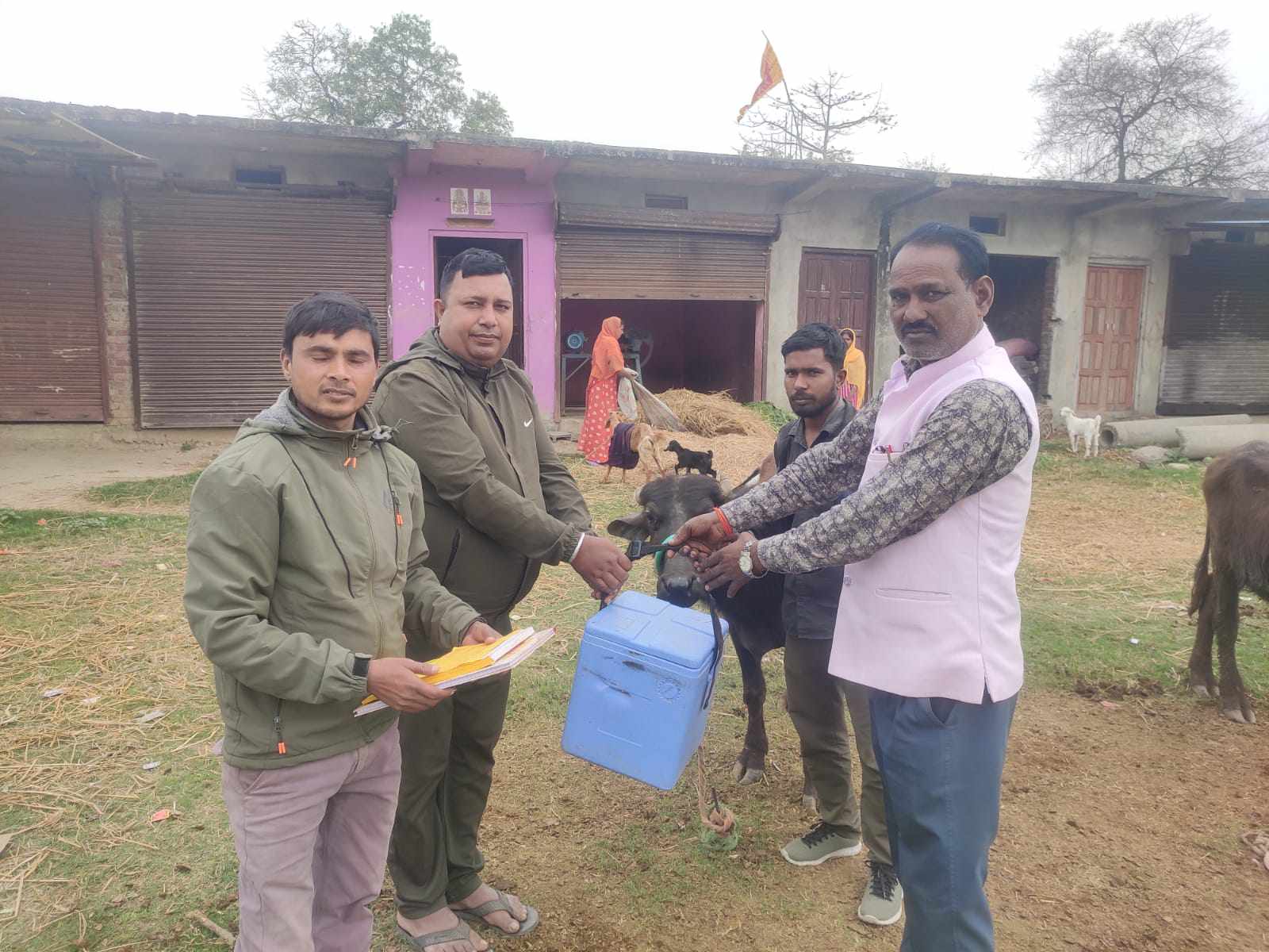 नेपालगञ्जमा २० हजार पशुलाई खोरेत विरुद्धको भ्याक्सिन लगाइँदै