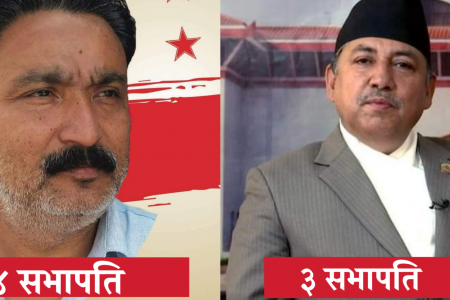 बर्दियामा ४ संस्थापन र ३ संस्थापन इतरका सभापति