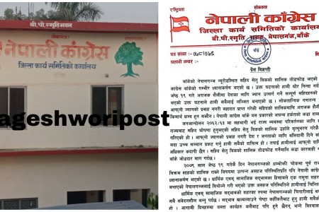 सहिद सेतु विकको शालिक तोडफोडको घटनाप्रति कांग्रेस बाँकेको गम्भीर ध्यानाकर्षण