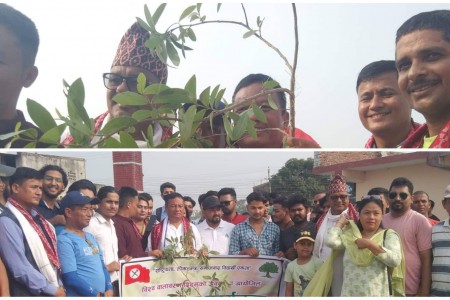 नेविसंघद्वारा कान्ति ताल परिसरमा बृक्षारोपण