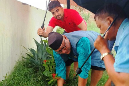 नेपालगञ्ज-१२ को वडा कार्यालय र स्वास्थ्य चौकी परिसरमा बृक्षारोपण