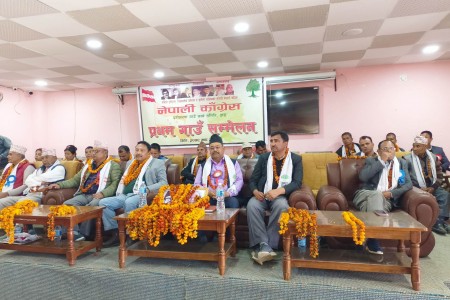 पार्टीभित्र आमूल परिवर्तन आवश्यक छः काँग्रेस केन्द्रिय सदस्य गिरी