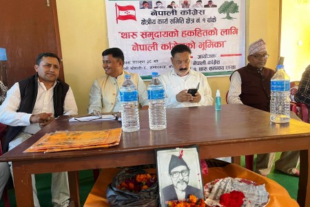 राप्तीसोनारीमा 'थारू समुदायको हक अधिकारका लागि कांग्रेसको भूमिका' बिषयक अन्तरक्रिया