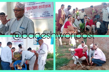 कोइरालाको जन्मजयन्तिमा कांग्रेस बाँकेद्वारा बृहत बृक्षारोपण (फोटोफिचर)