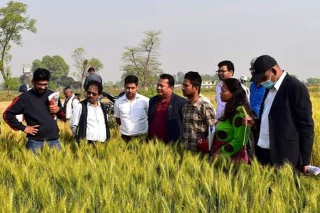 कृषि अनुसन्धान निर्देशनालयले मनायो गहुँ विशेष कृषि दिवस