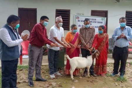 कृषि अनुसन्धान निर्देशनालय खजुराद्वारा बोर बोका हस्तान्तरण