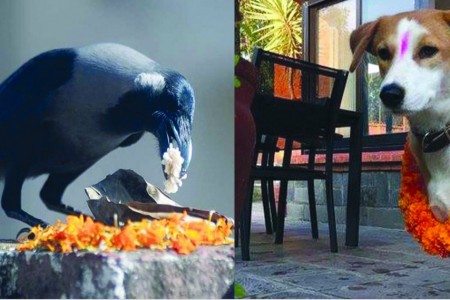 आज काग र कुकुर तिहार