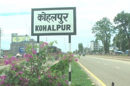 कोहलपुरमा रोपिएका बिरुवा भाँच्ने एक जना पक्राउ