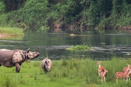 आज विश्व सिमसार दिवस मनाइँदै