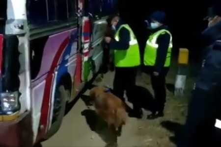 तालिम प्राप्त कुकुरलाई लिएर बसमा चेक गर्दा डीएसपी फेला पारे ठुलो परिमाणमा ब्राउन सुगर