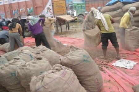 भारततर्फ निकासी नहुदा करोडौंको जडिबुटी गोदाममा कुहिदै