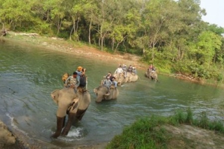 बर्दिया राष्ट्रिय निकुञ्जमा पर्यटकको चहलपहल