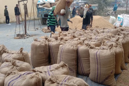 बाँकेमा किसानको धान खरिद गरिँदै