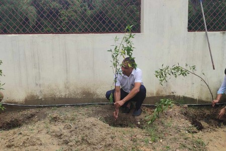 कोहलपुरमा वृक्षारोपण अभियान