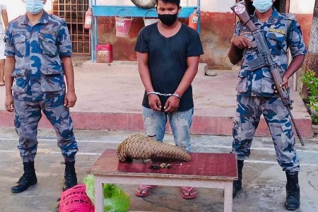 जयसपुर हुँदै भारत लैजादै गरिएको सालकसहित एक तस्कर सशस्त्रको फन्दामा