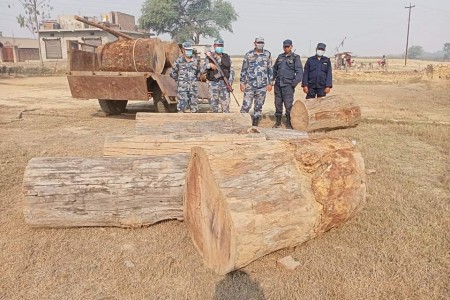 प्रहरी र सशस्त्रको संयुक्त टोलीद्वारा डुडुवा गाउँपालिकाबाट अवैध सालको काठ बरामद