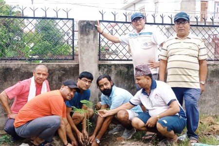 वडा कार्यालय र ब्याडमिन्टन कोर्ट परिसरमा वृक्षारोपण