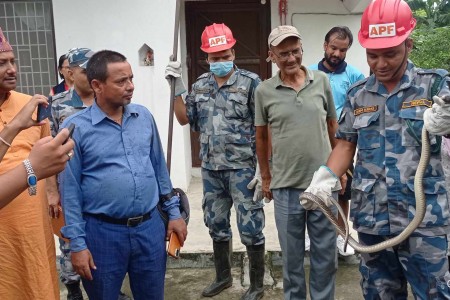 नेपालगन्जस्थित एक घरबाट सर्प नियन्त्रणमा लिइयो