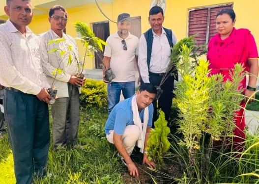 वीपी स्मृति दिवसमा कांग्रेसले गर्यो शम्शेरगन्जमा वृक्षारोपण