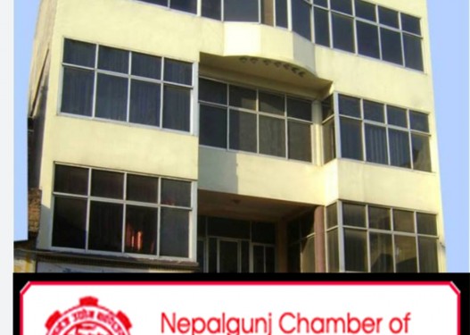 नेपालगन्ज उद्योग बाणिज्य संघले राष्ट्र बैंक अगाडि धर्ना दिने