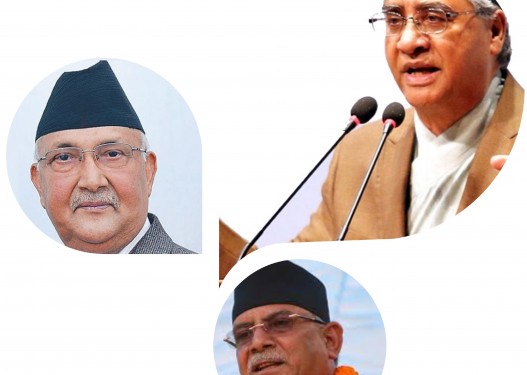 मोटाउँदै नेता, दुब्लाउँदै दल
